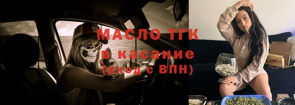 гидропоника Каменка