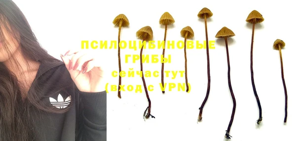 стафф Инсар