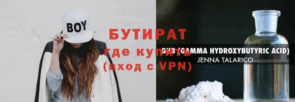гидра Каменногорск