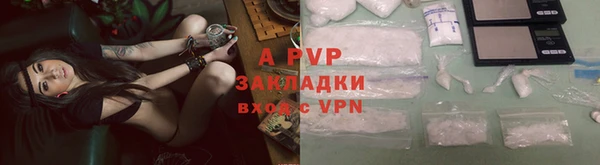 гашик Инта