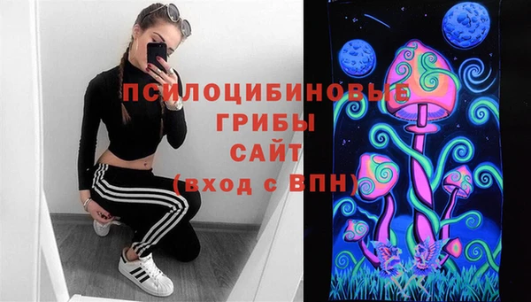 стафф Инсар