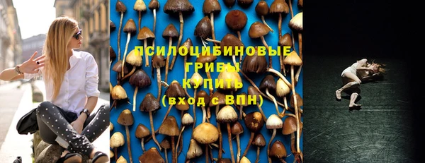 гашик Инта
