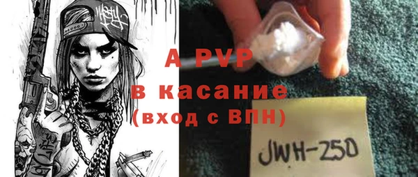 2c-b Новозыбков