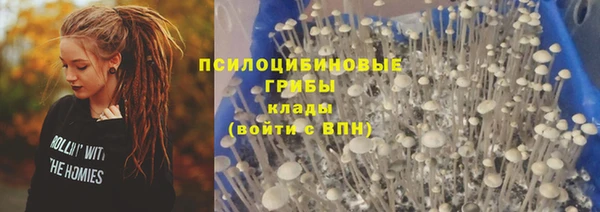 дмт Иннополис