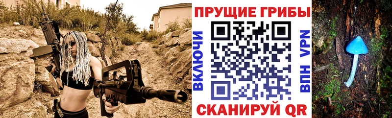 наркотики  Киселёвск  Галлюциногенные грибы мицелий 